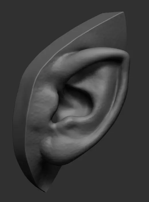 Elf Ear 3D model_0