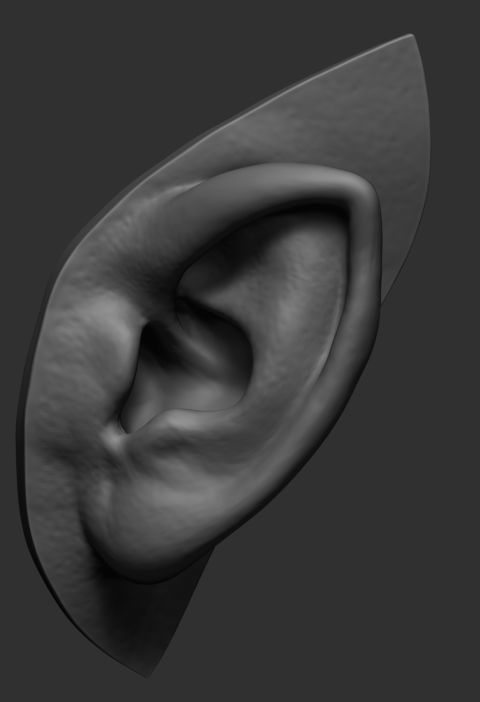 Elf Ear 3D model_1