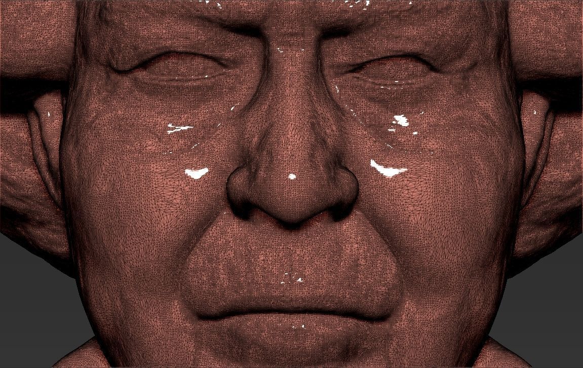 Queen Elizabeth II bust ready for full color 3D printing 3D print model_48