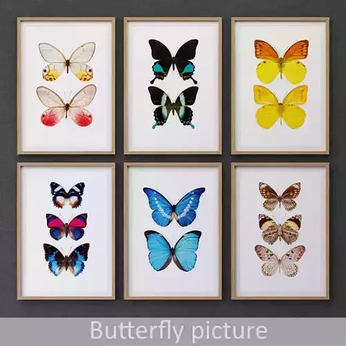 JUNIQE Butterfly picture