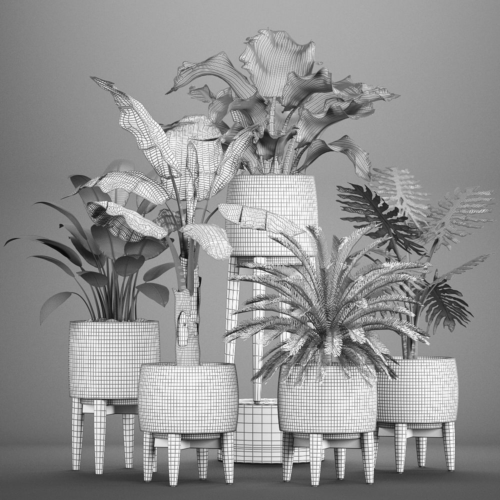 Collection of plants in pots  3D model_10