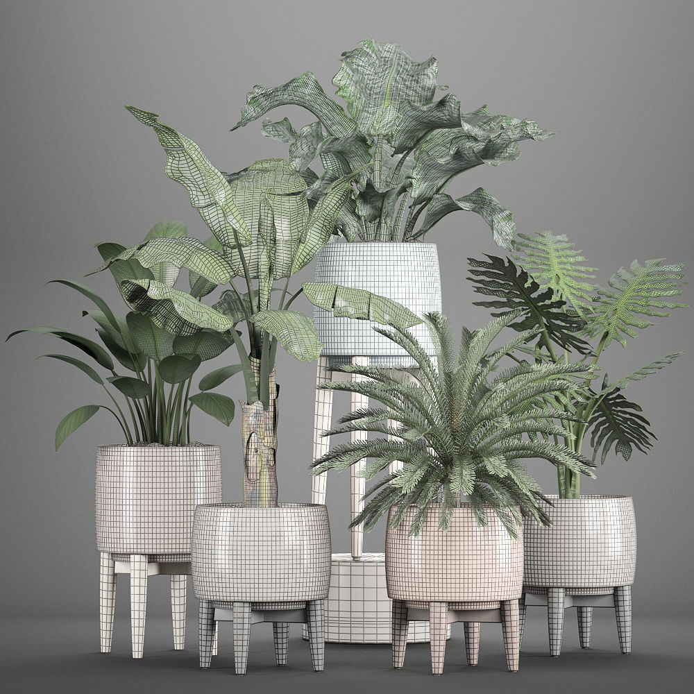 Collection of plants in pots  3D model_7