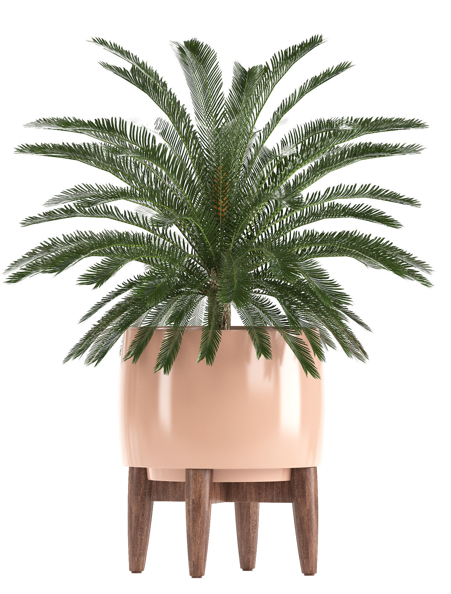 Collection of plants in pots  3D model_12
