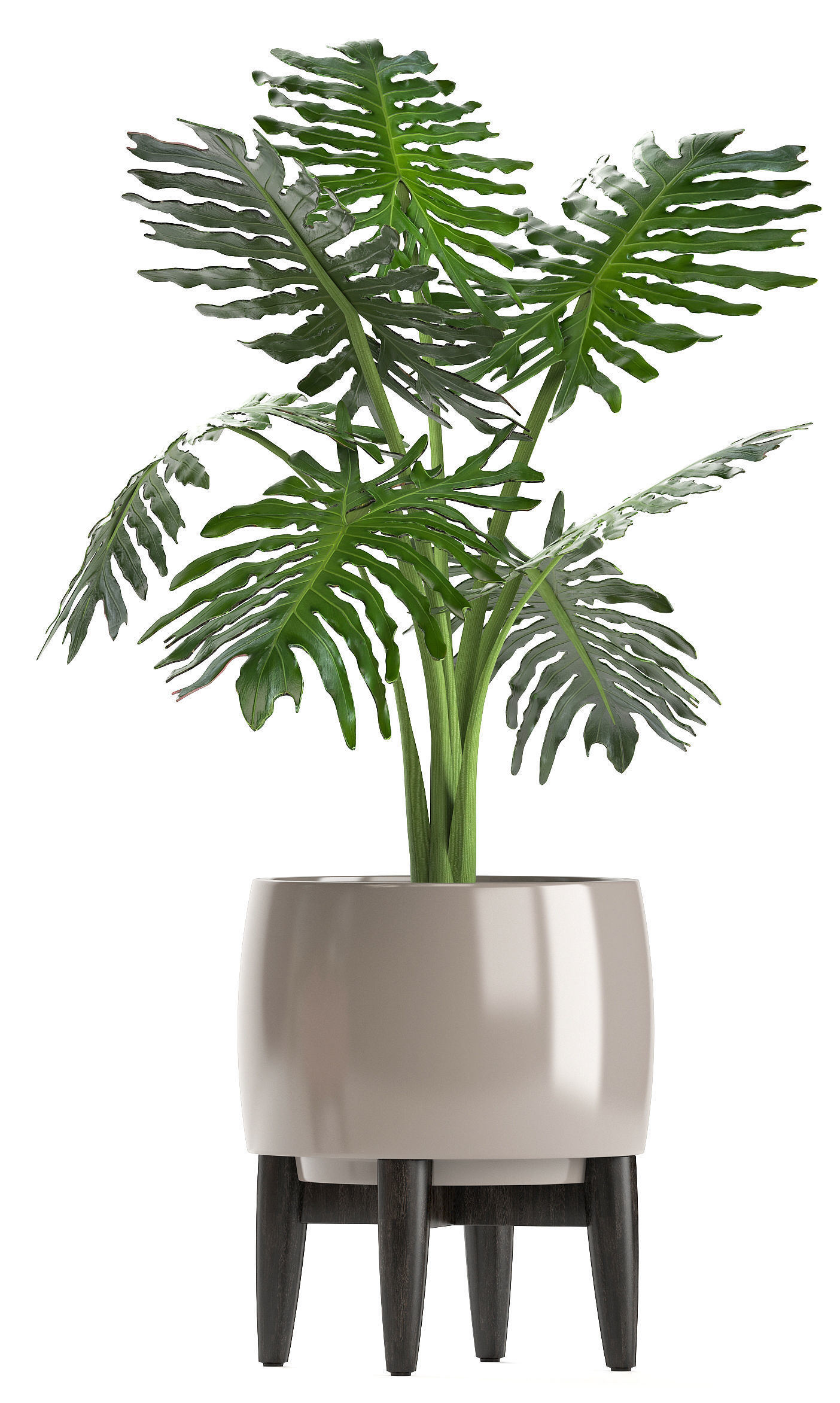 Collection of plants in pots  3D model_4