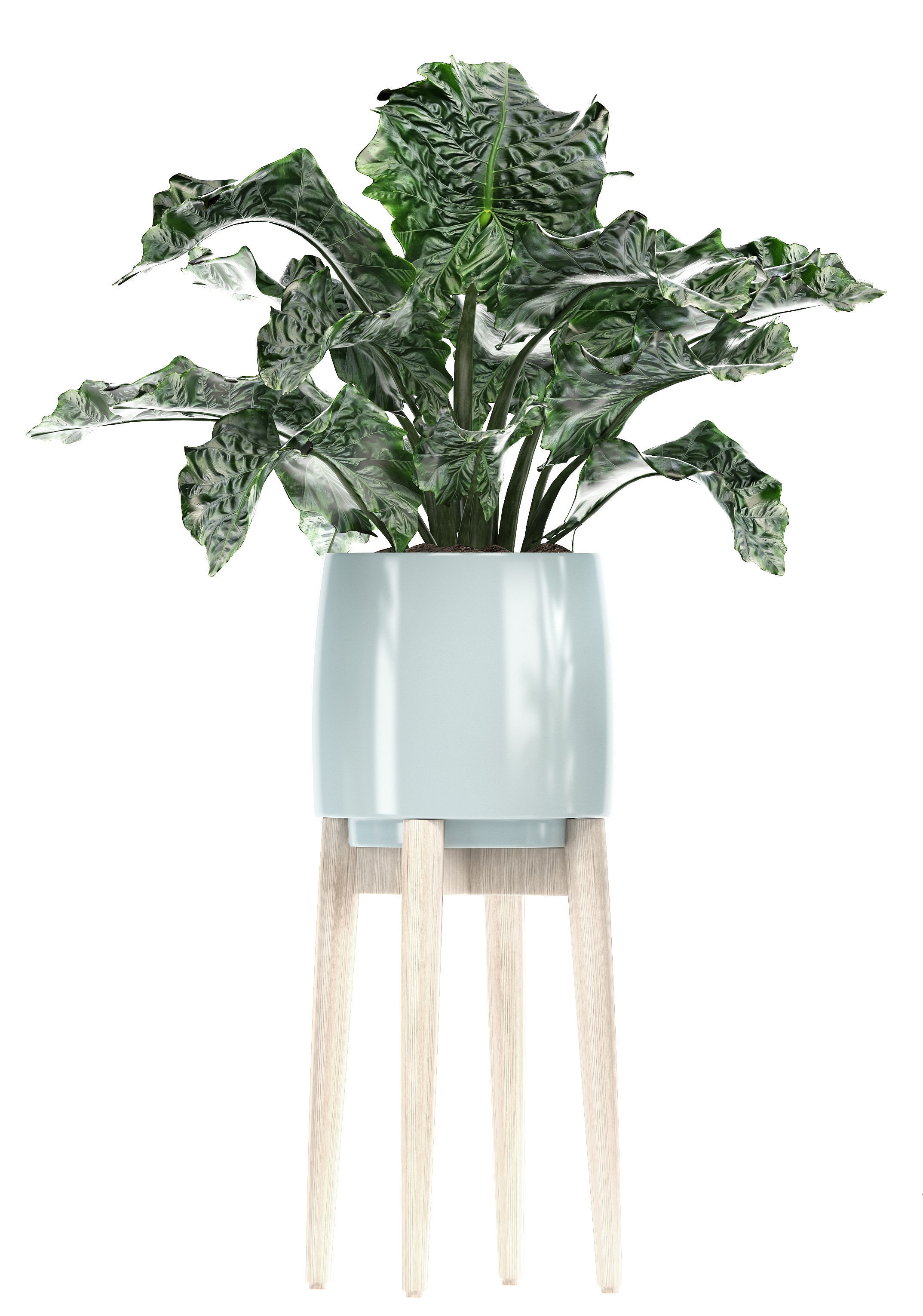 Collection of plants in pots  3D model_13