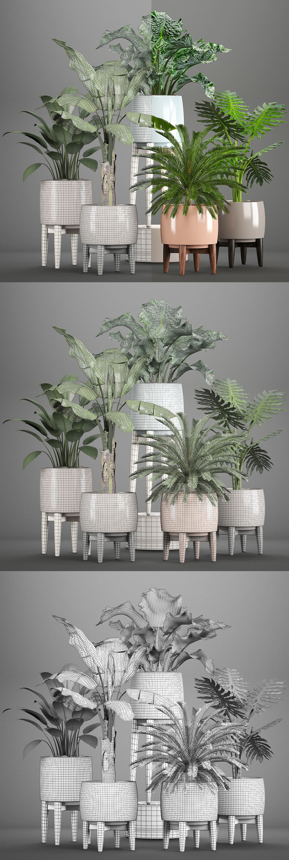 Collection of plants in pots  3D model_9