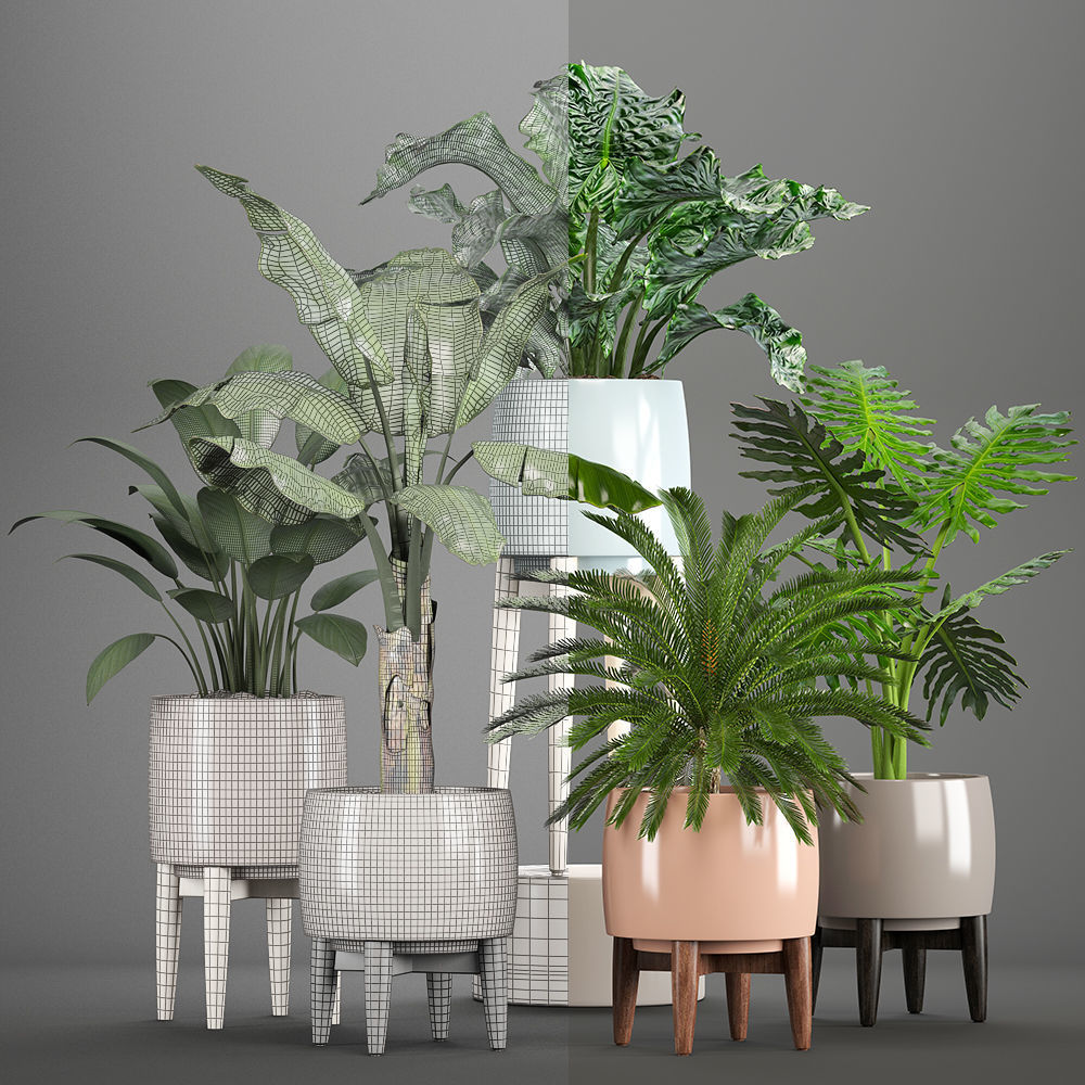 Collection of plants in pots  3D model_8