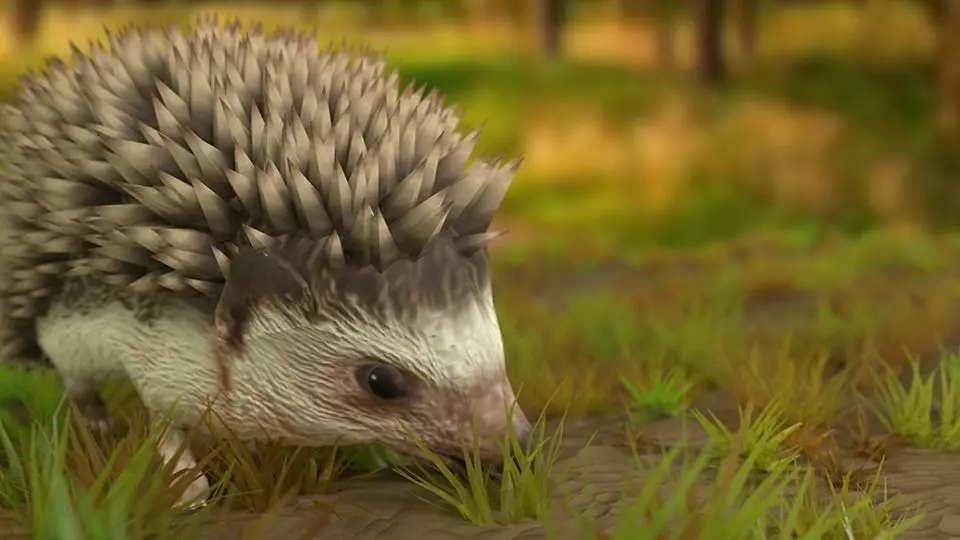 Rigged Hedgehog Low-poly 3D model_0