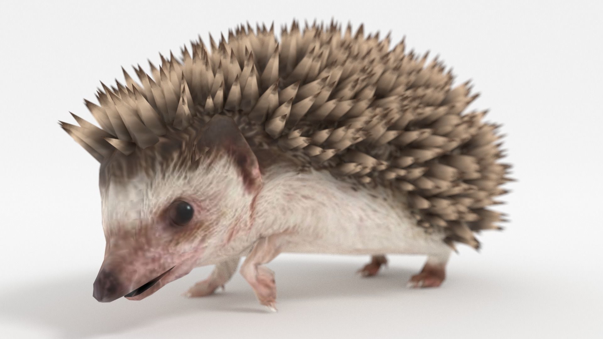 Rigged Hedgehog Low-poly 3D model_1