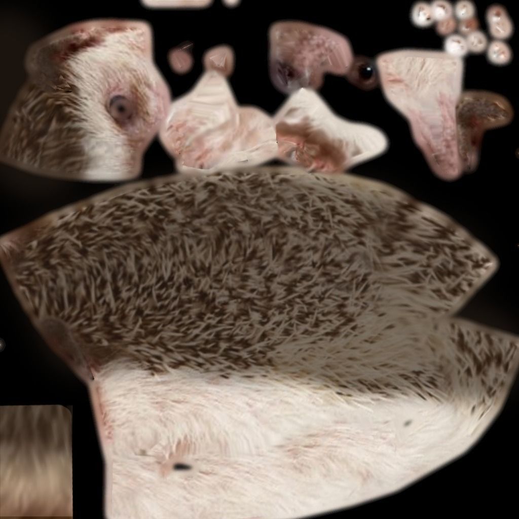 Rigged Hedgehog Low-poly 3D model_7