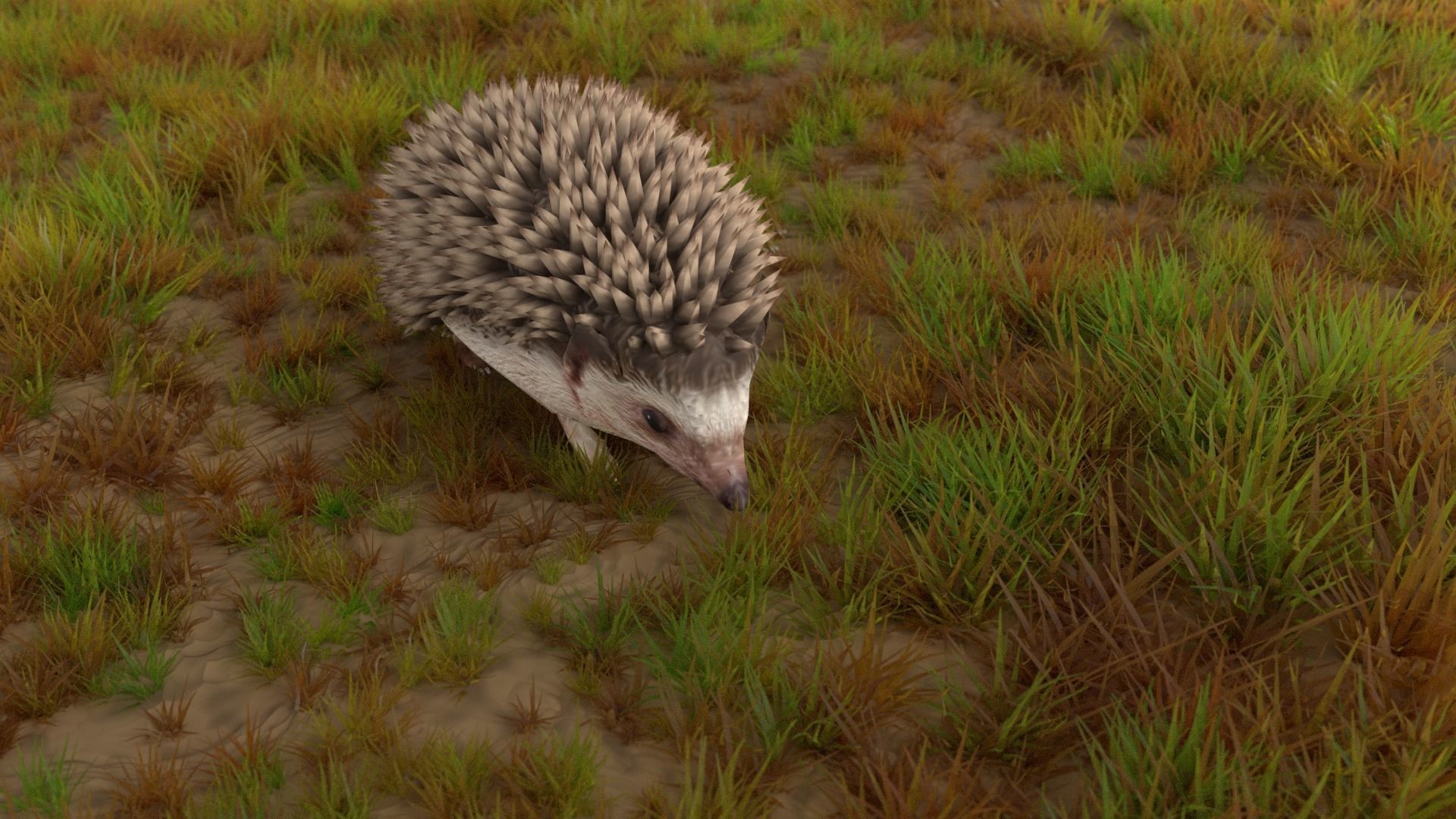 Rigged Hedgehog Low-poly 3D model_8