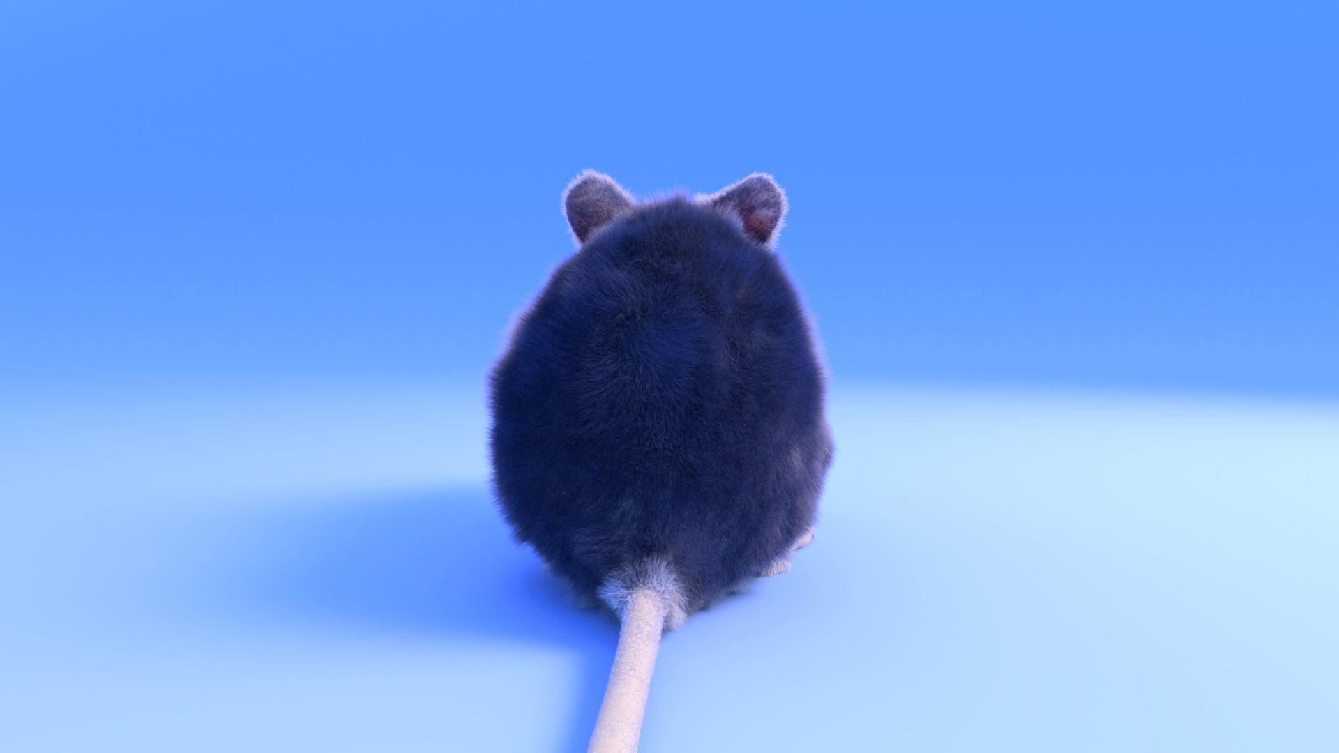 Mouse - grey brown white fur - Xgen - realistic style - rigged Low-poly 3D model_6
