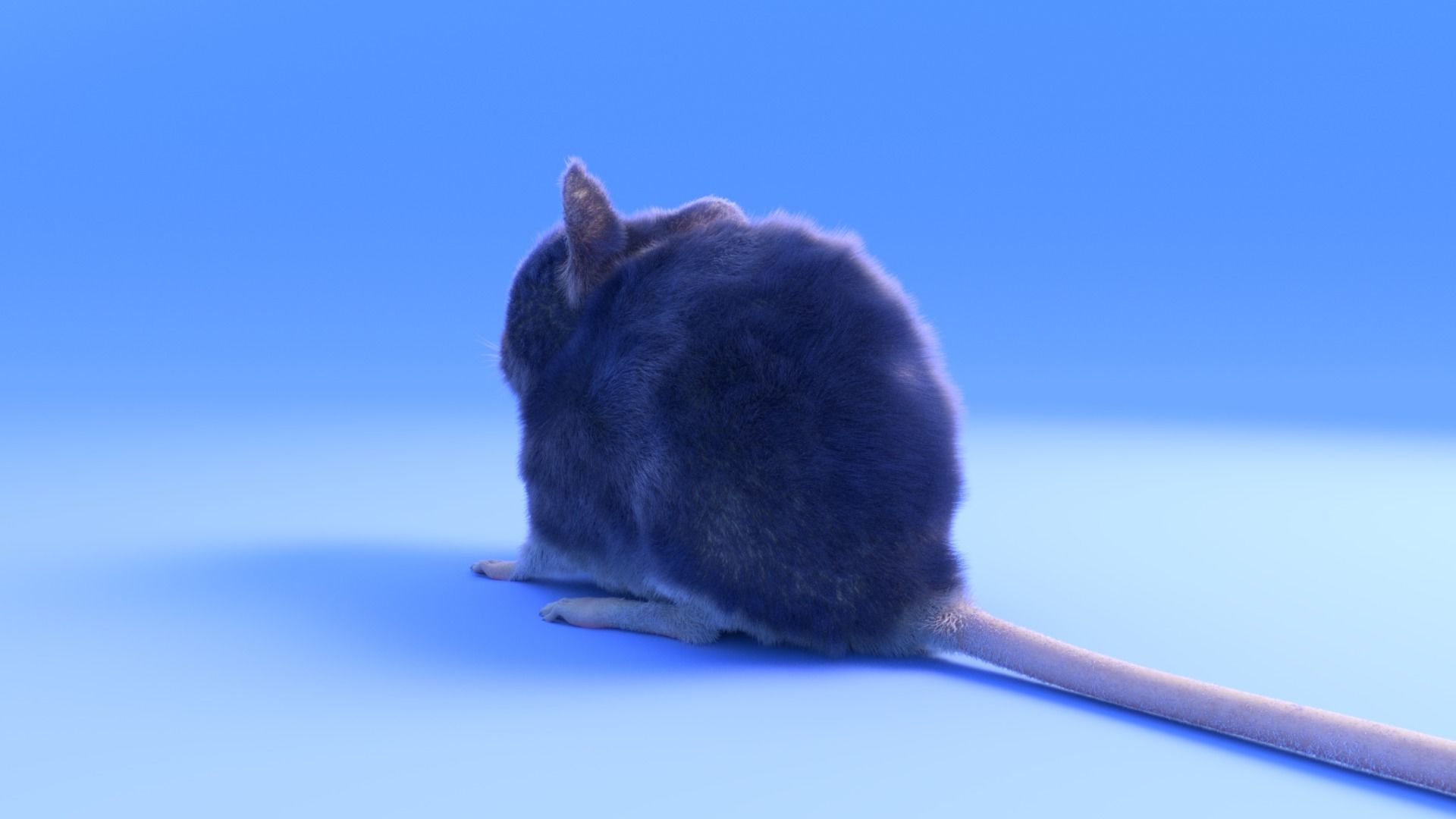 Mouse - grey brown white fur - Xgen - realistic style - rigged Low-poly 3D model_7