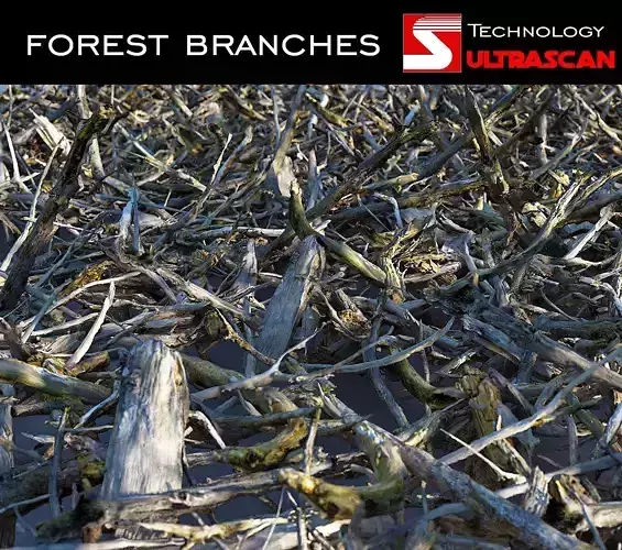 Wood Branch Pack  Low-poly 3D model