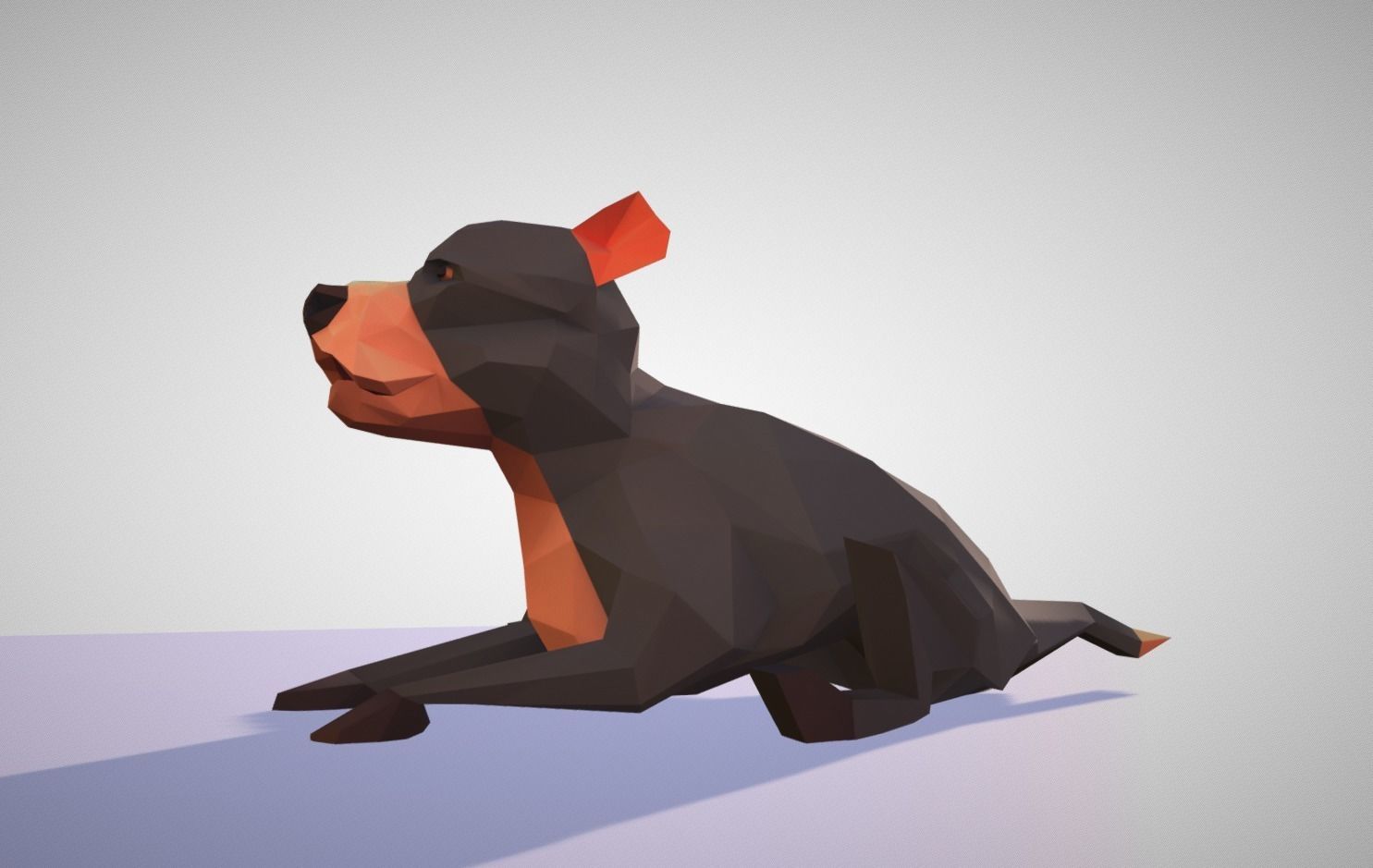 Pitbull polygonal dog 3D model_7