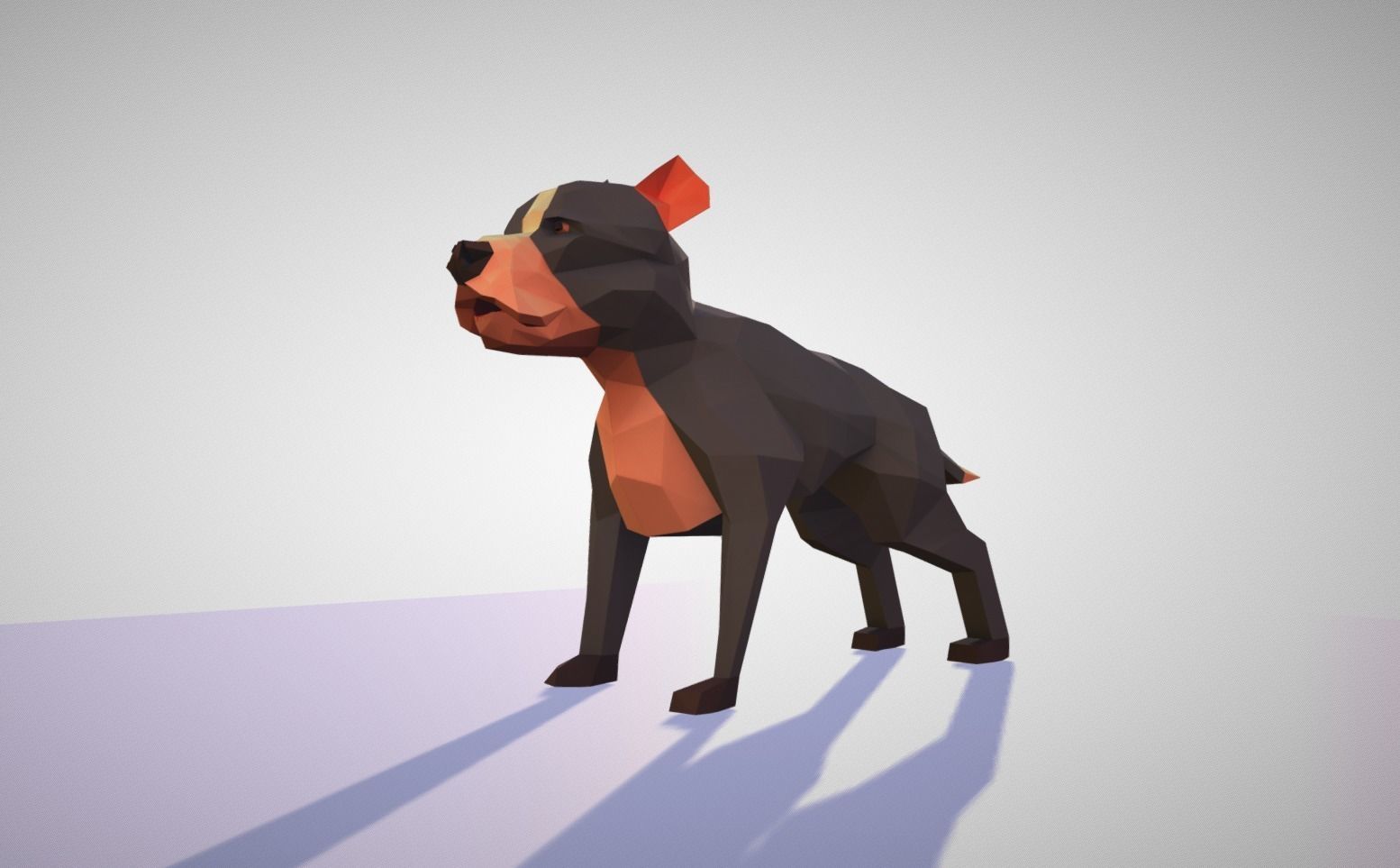 Pitbull polygonal dog 3D model_1