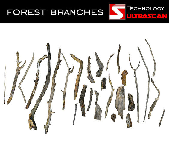 Wood Branch Pack 28 Low-poly 3D model