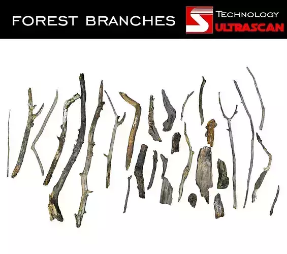 Wood Branch Pack 28 Low-poly 3D model