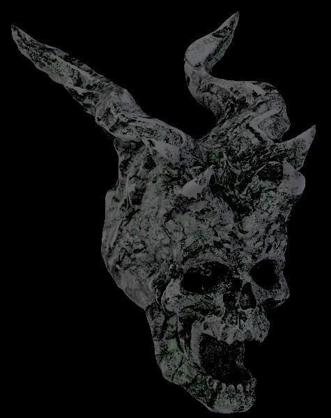 Copper Skull 3D model_13