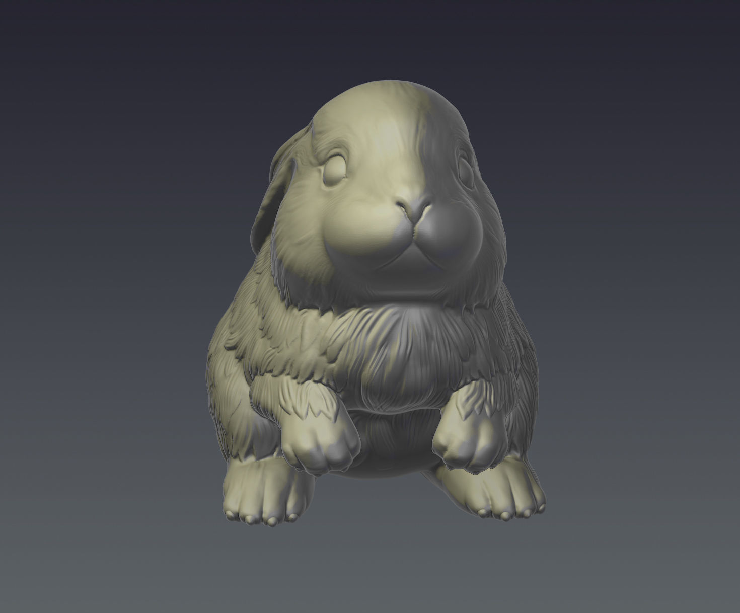 Rabbit bunny 3D print model_4