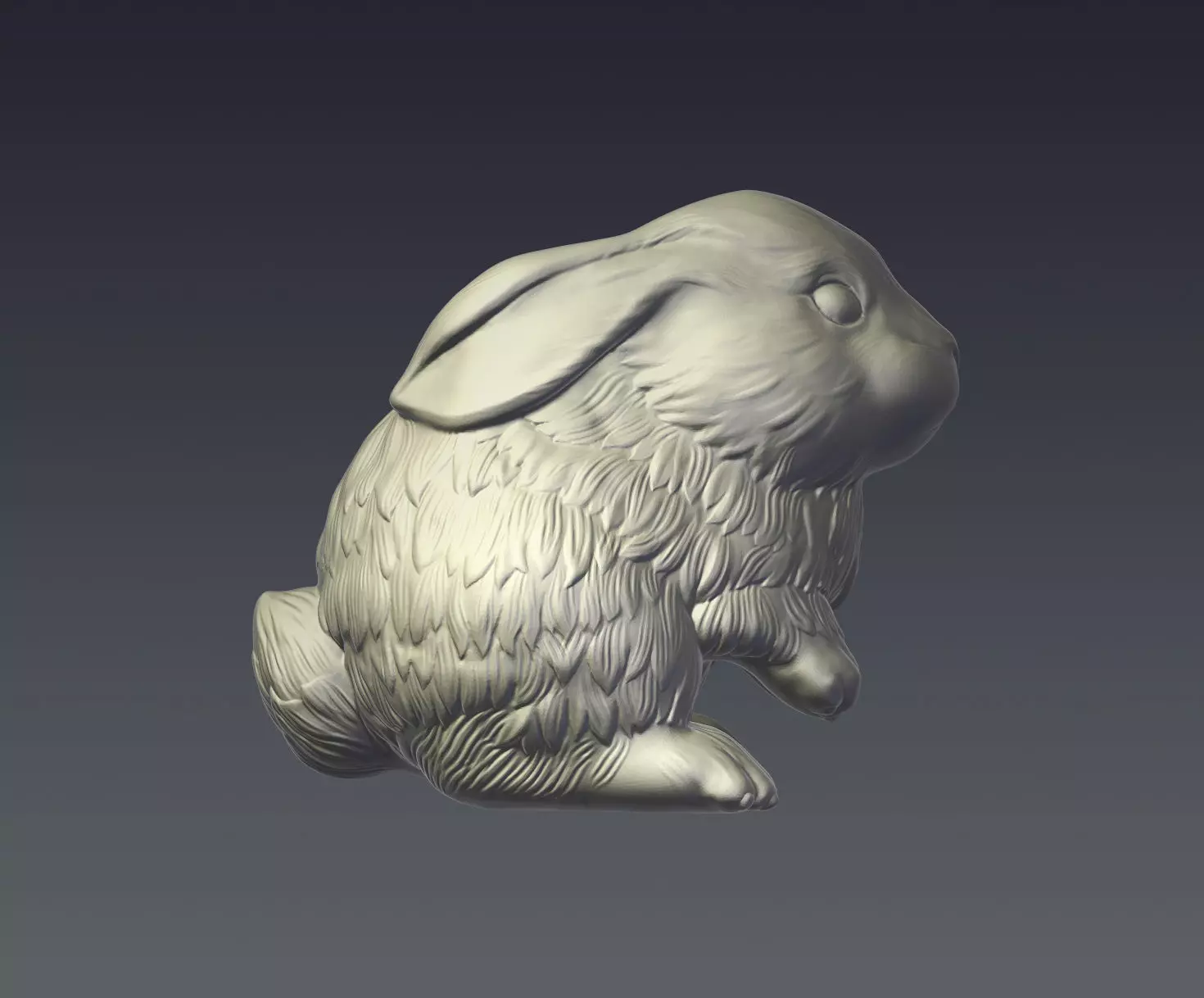 Rabbit bunny 3D print model_0