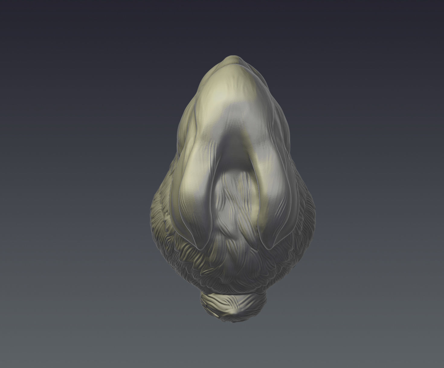 Rabbit bunny 3D print model_3