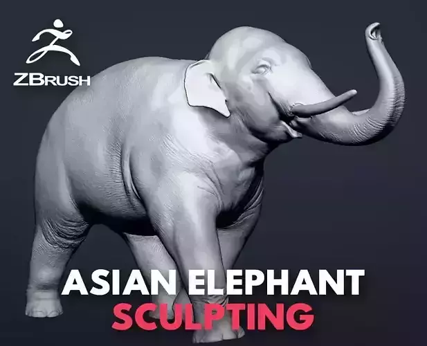 Asian elephant figurine  3D print model