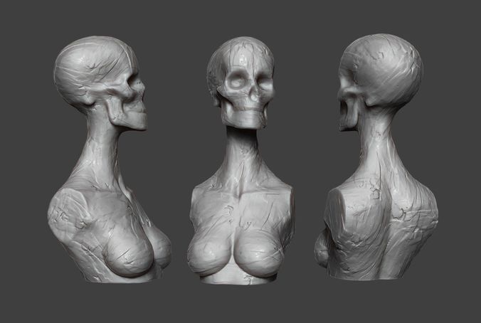 Clay Skull 3D print model