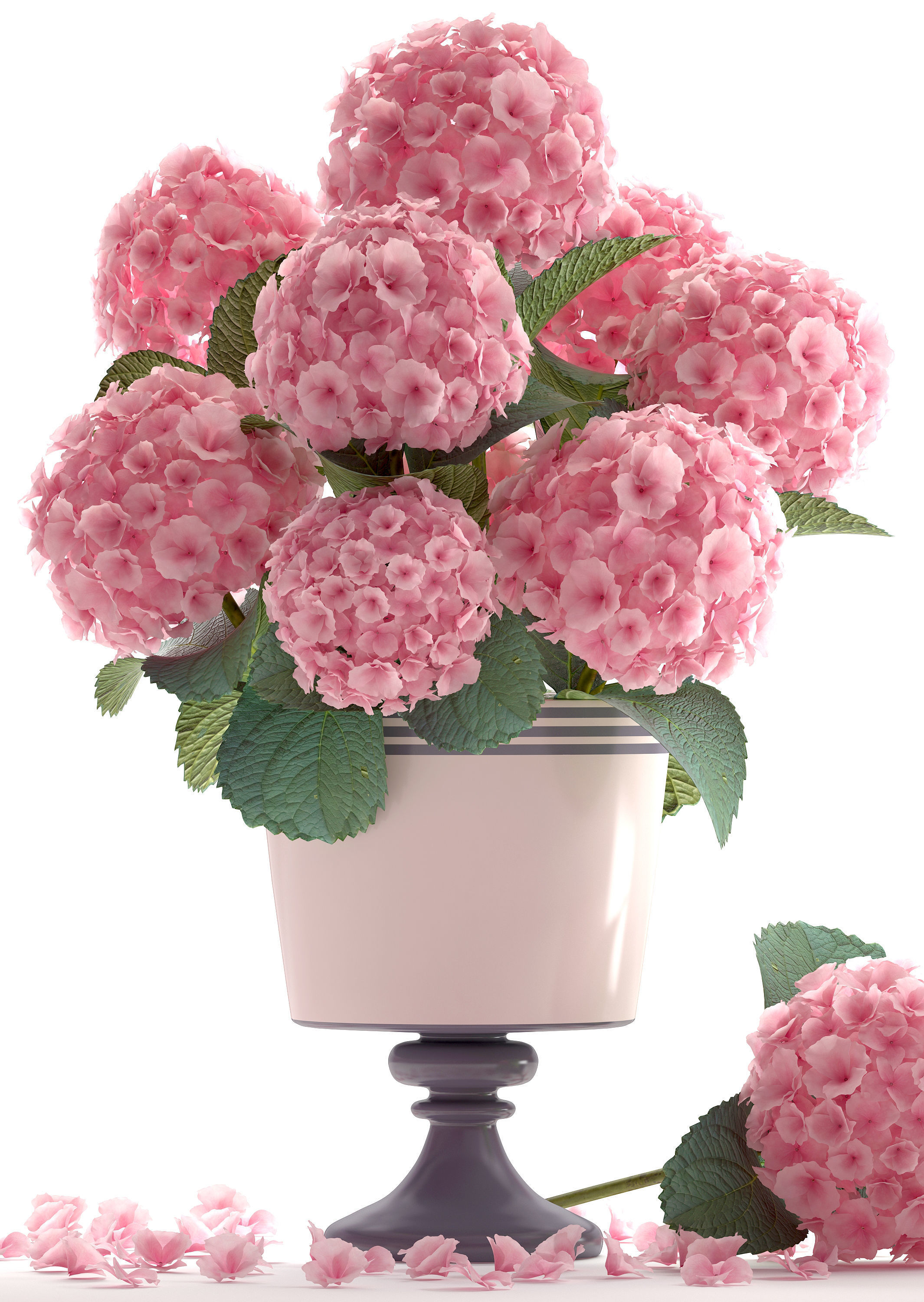 Bouquet of pink Hydrangea 3D model_7