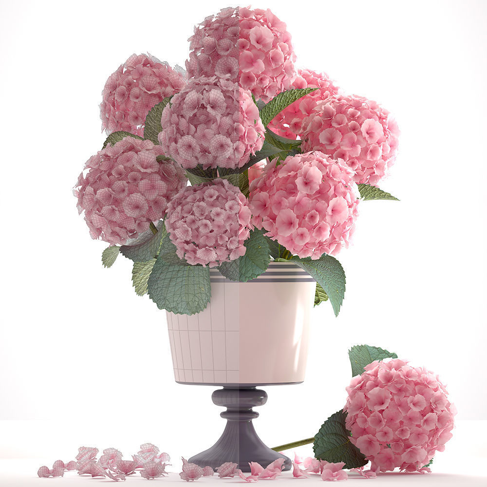 Bouquet of pink Hydrangea 3D model_1