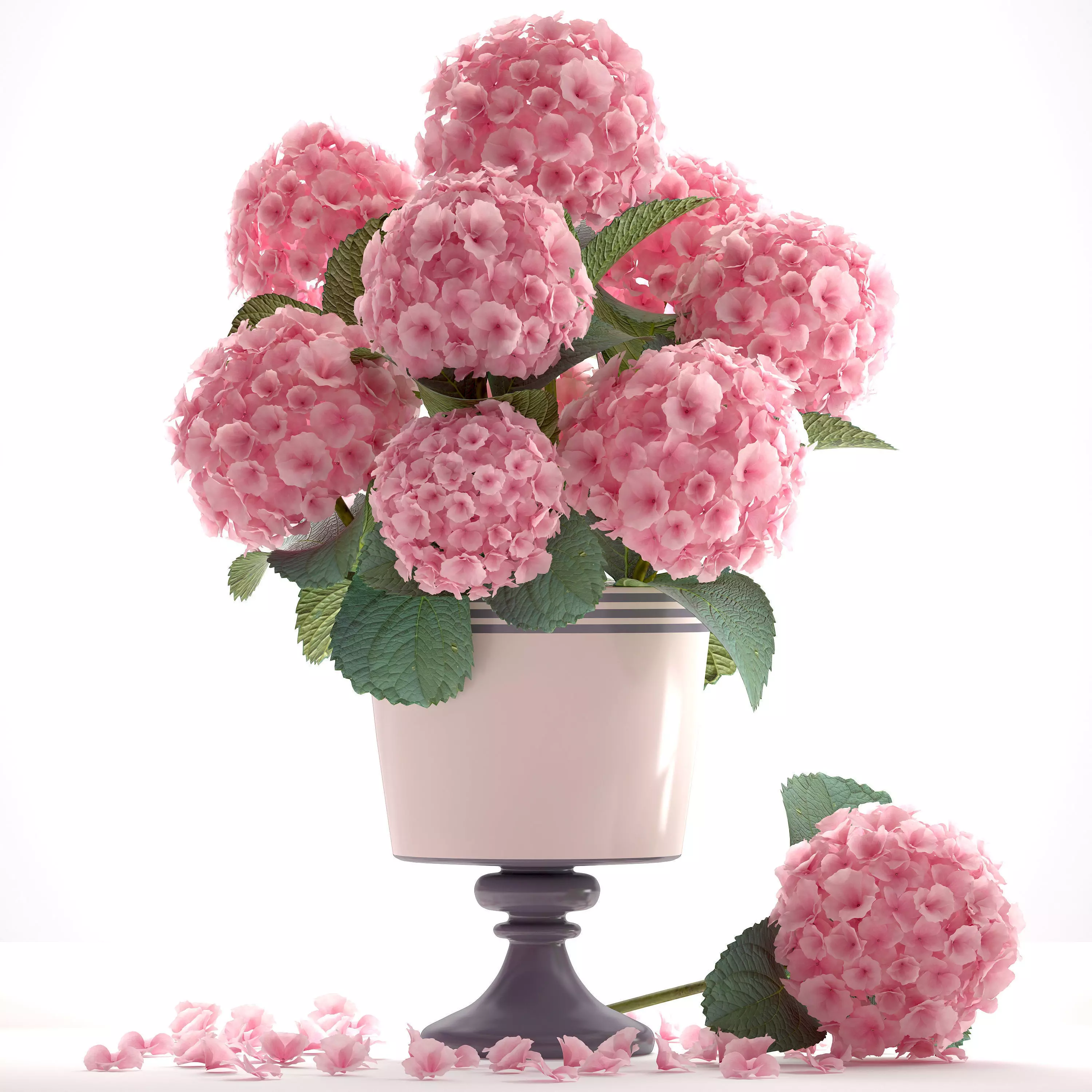 Bouquet of pink Hydrangea 3D model_0