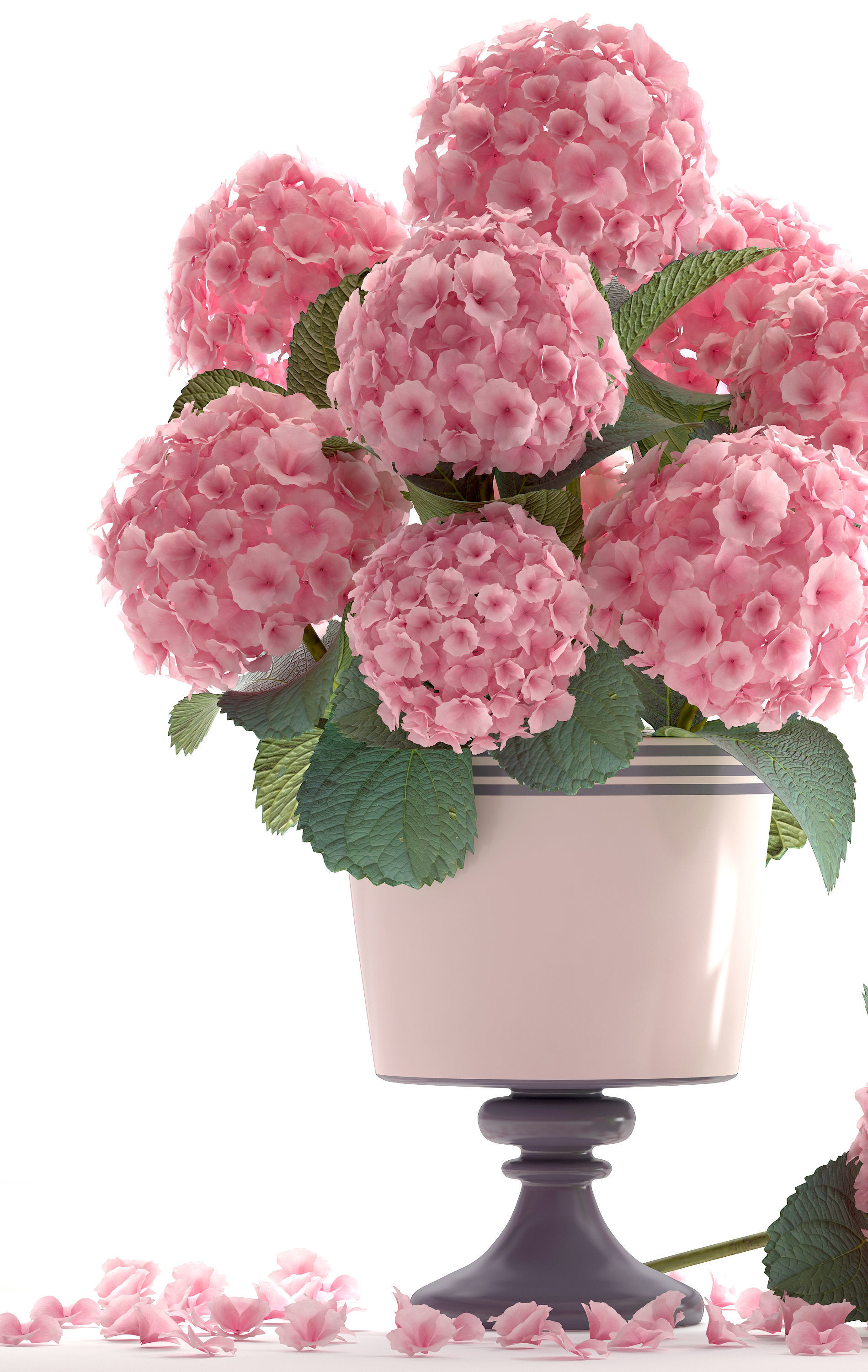 Bouquet of pink Hydrangea 3D model_5