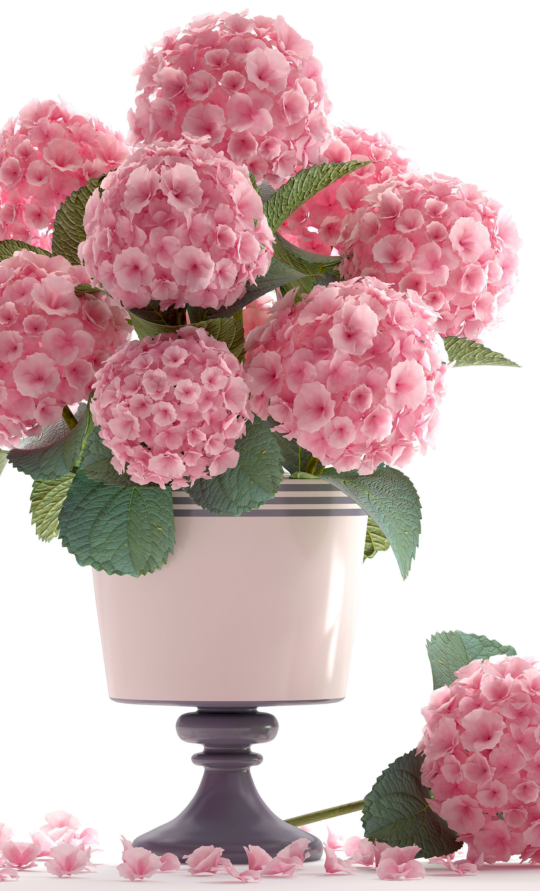 Bouquet of pink Hydrangea 3D model_6
