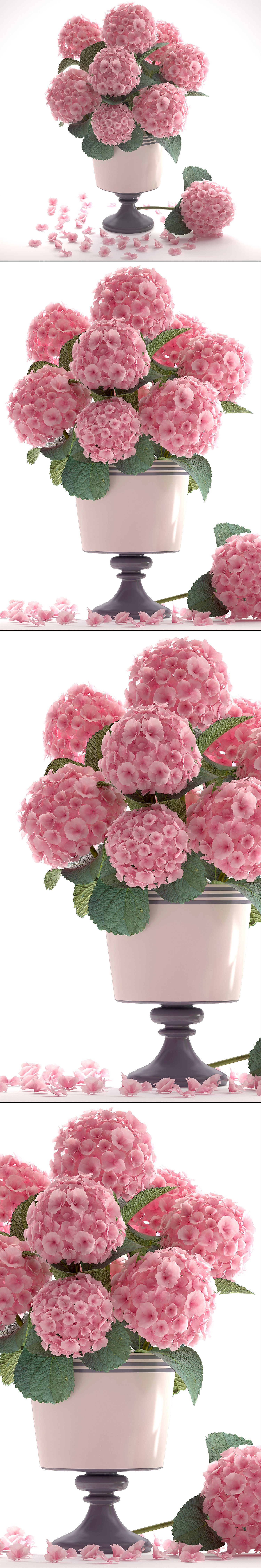 Bouquet of pink Hydrangea 3D model_9