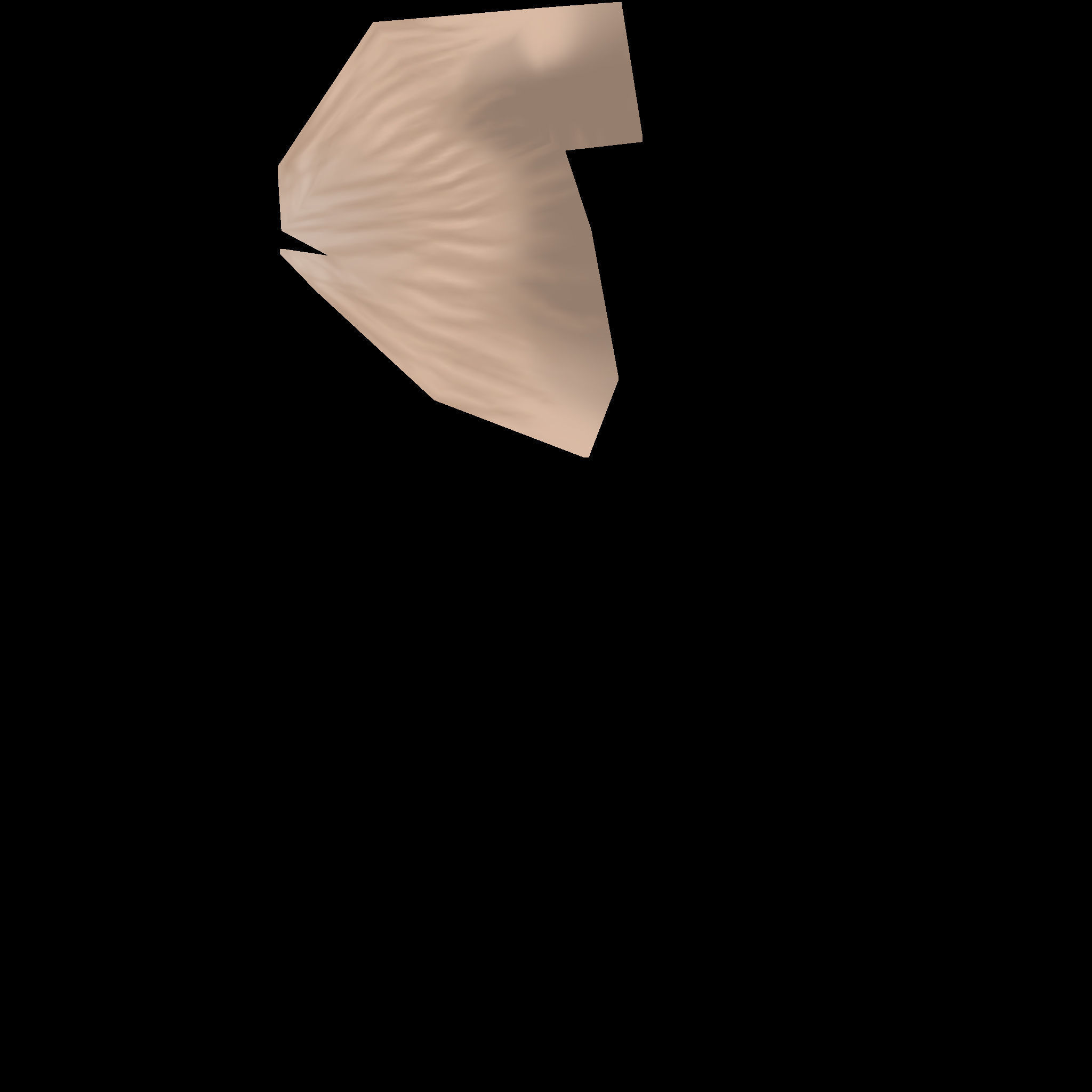 Velociraptor Dinosaur  3D model_9