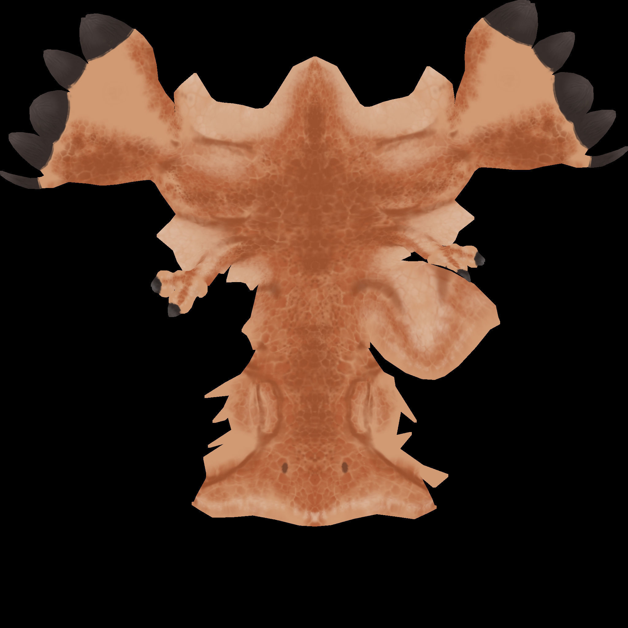 Velociraptor Dinosaur  3D model_6