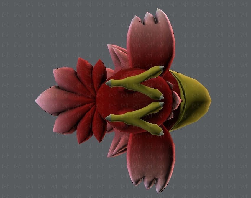 Chocobo Bird Low-poly 3D model_35