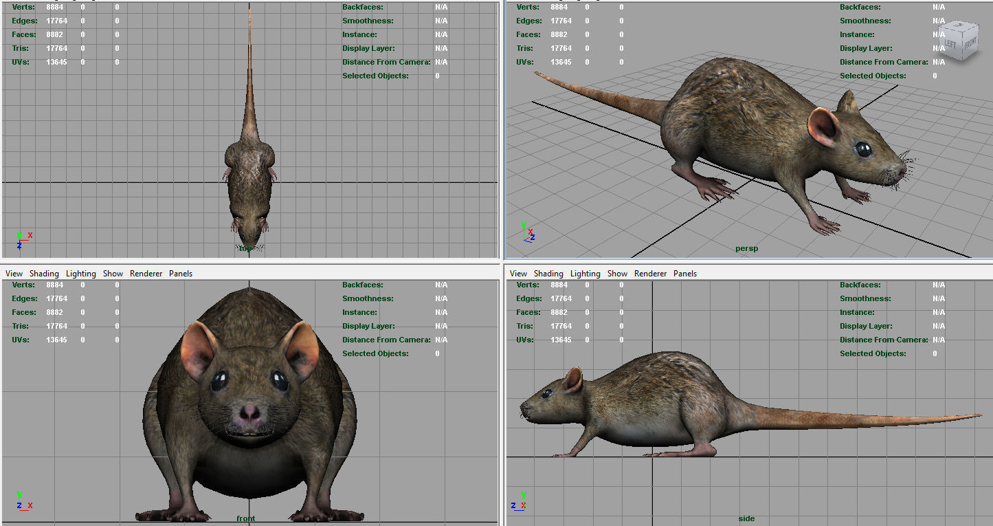 Realistic Rat Low-poly 3D model_8