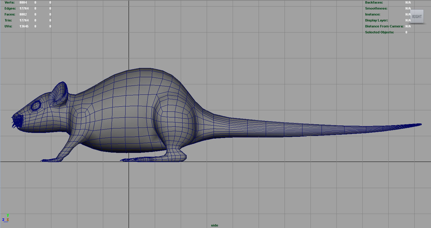 Realistic Rat Low-poly 3D model_7