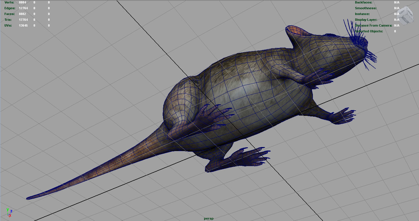 Realistic Rat Low-poly 3D model_10