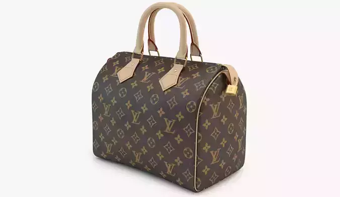 Louis Vuitton Bag 01