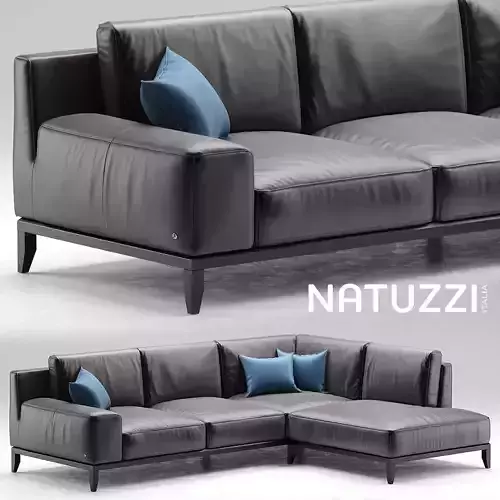 Natuzzi Sofa