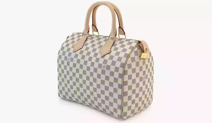 Louis Vuitton Bag 04