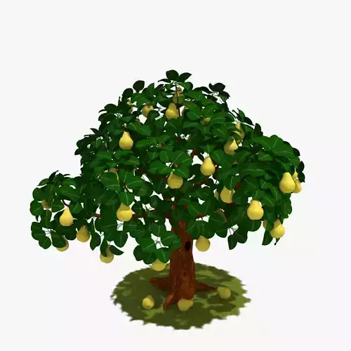 Cartoon Pear Tree