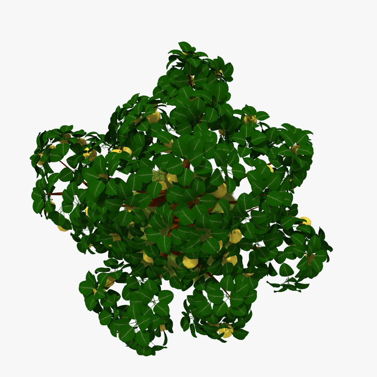 Cartoon Tree Pack Low-poly 3D model_44