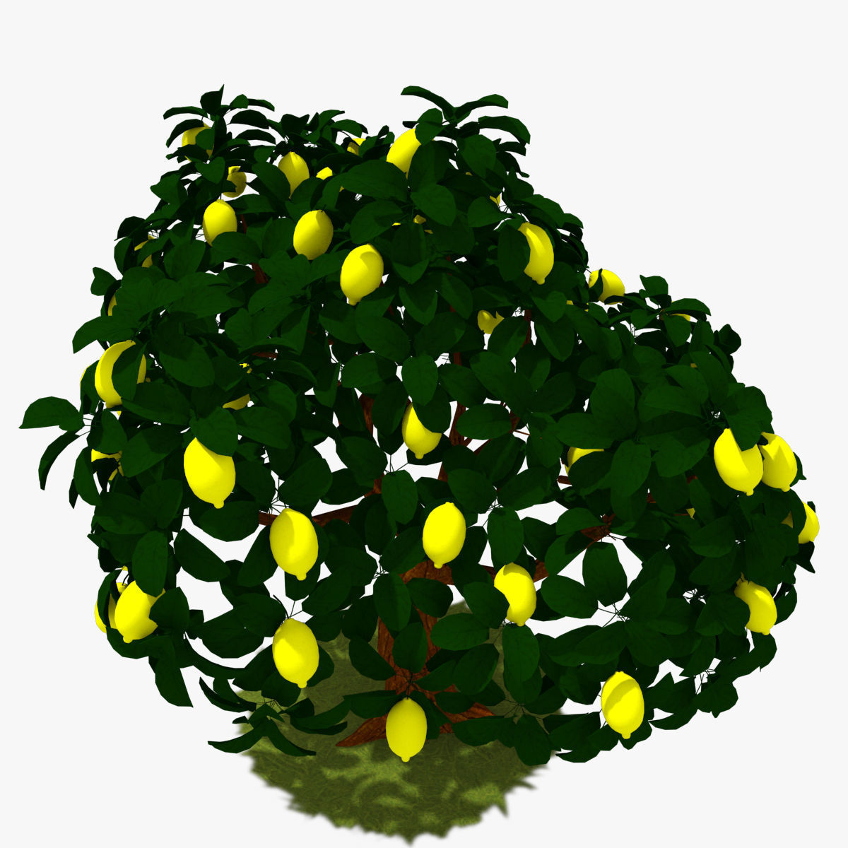 Cartoon Tree Pack Low-poly 3D model_14