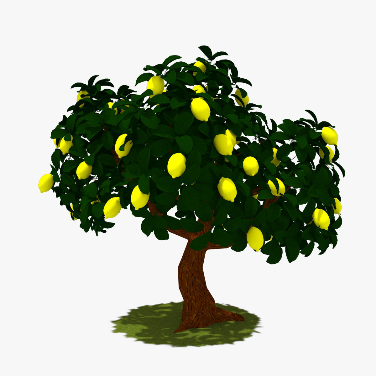 Cartoon Tree Pack Low-poly 3D model_13