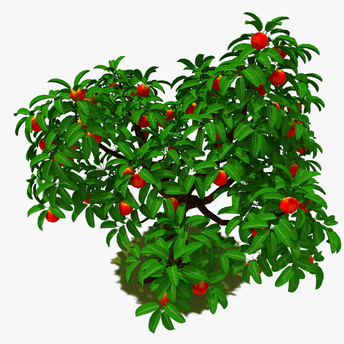 Cartoon Tree Pack Low-poly 3D model_34