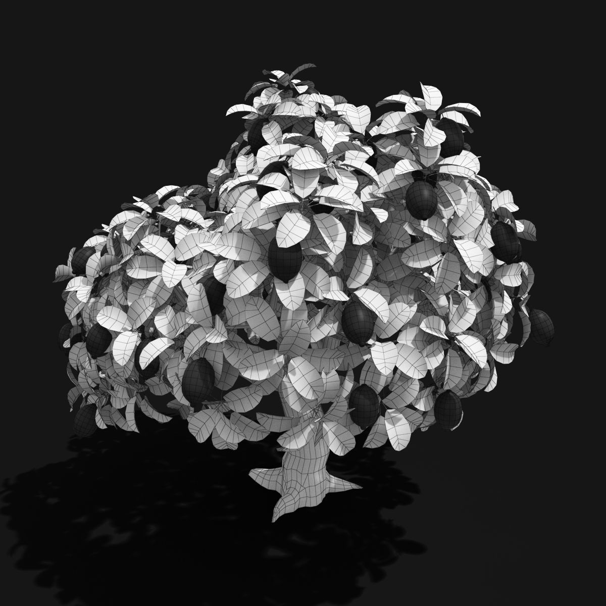 Cartoon Tree Pack Low-poly 3D model_17