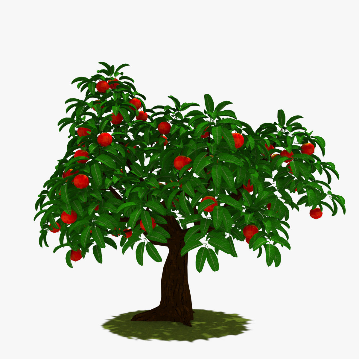 Cartoon Tree Pack Low-poly 3D model_32